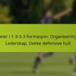 featured-image-feier-i-1-3-3-3-formasjon-organisering-lederskap-dekke-defensive-hull
